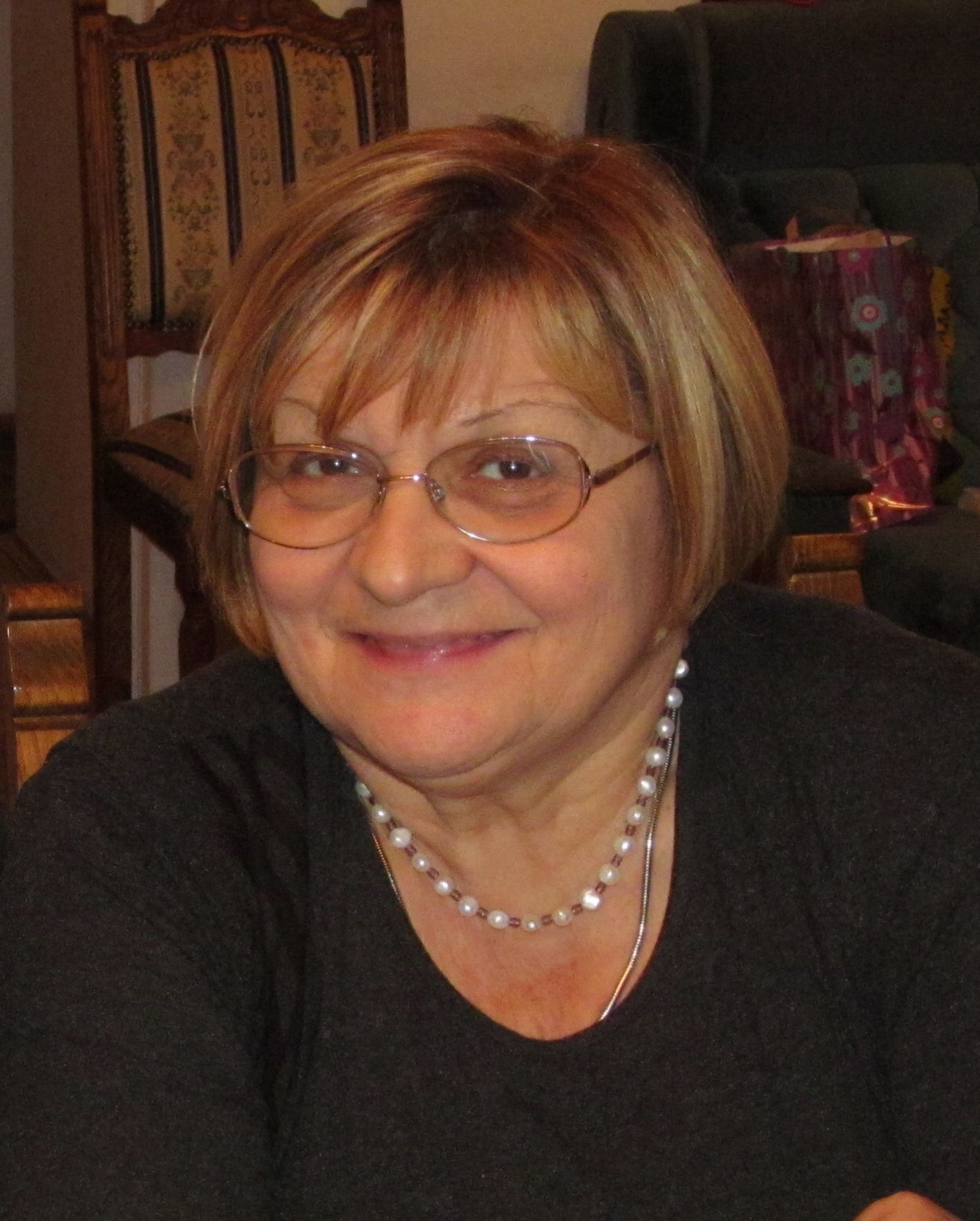 dragica minic